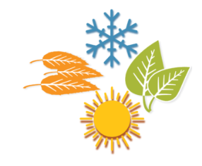 Screenshot 2026-01-16 9.00.13 AM